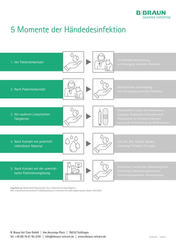 Poster: 5 Momente der Händedesinfektion